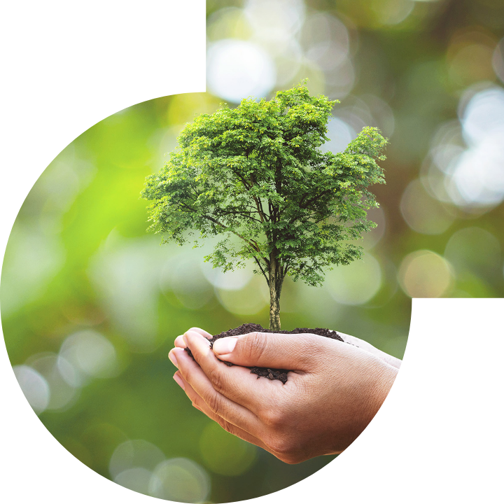 關懷人類、文化、環境與社會